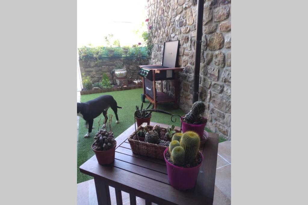 Casa Con Vistas En Ucieda Villa Dış mekan fotoğraf